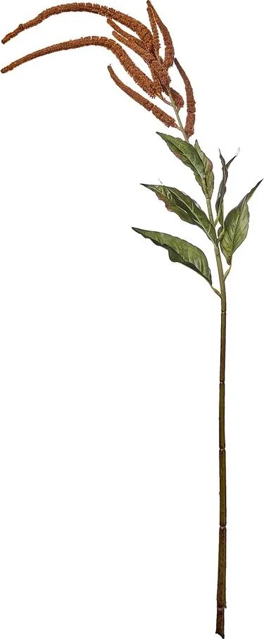 FLORISTA Proso 110 cm - hnedá