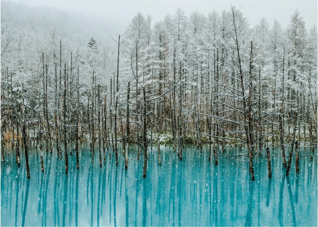 Obraz - Tyrkysový rybník, Biei, Japonsko (70x50 cm)