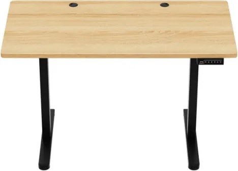 Elektrický výškovo nastaviteľný stôl Mark Adler Leader 6.9 Dub Craft / čierny