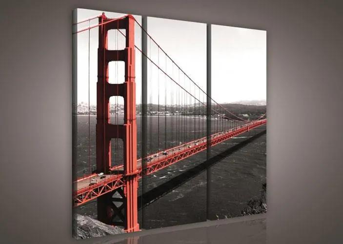Obraz na plátne Golden Gate Bridge 90 x 80 cm