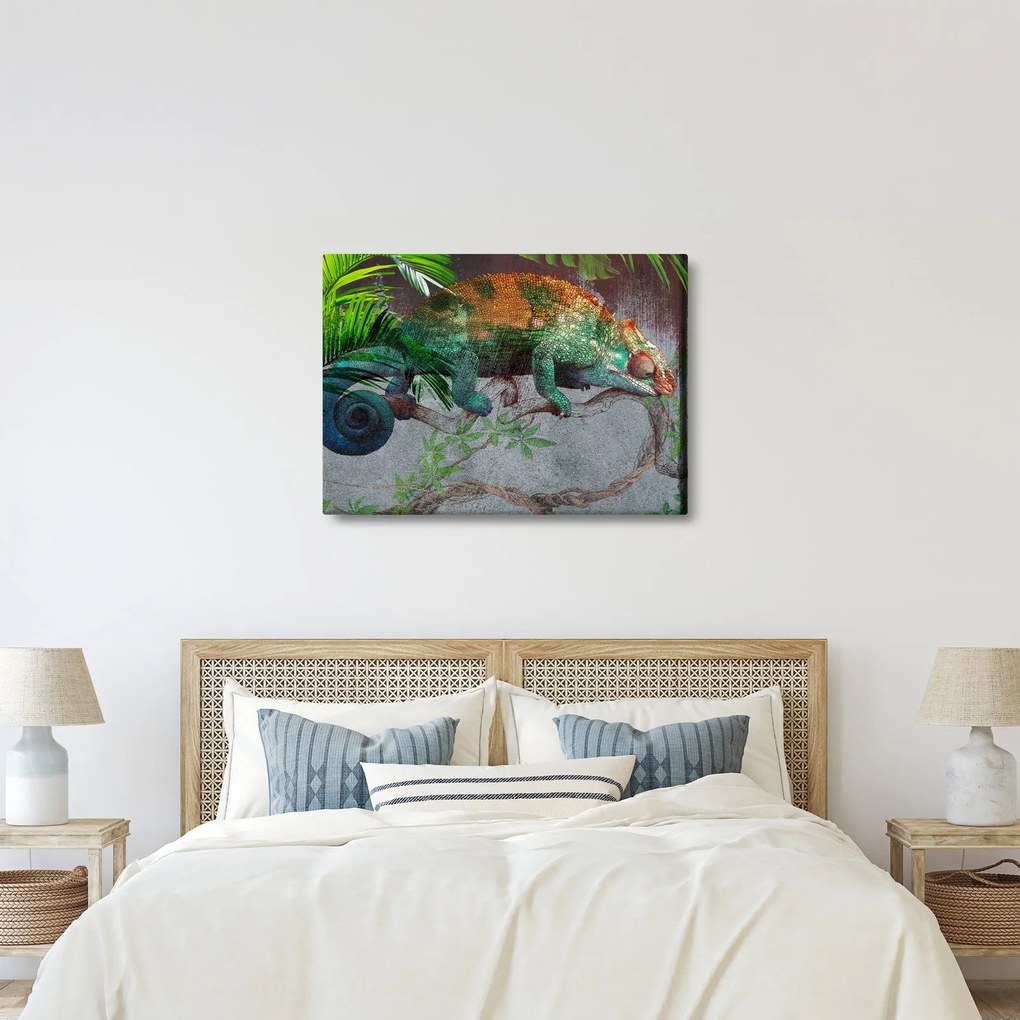 Obraz - Chameleon (70x50 cm)