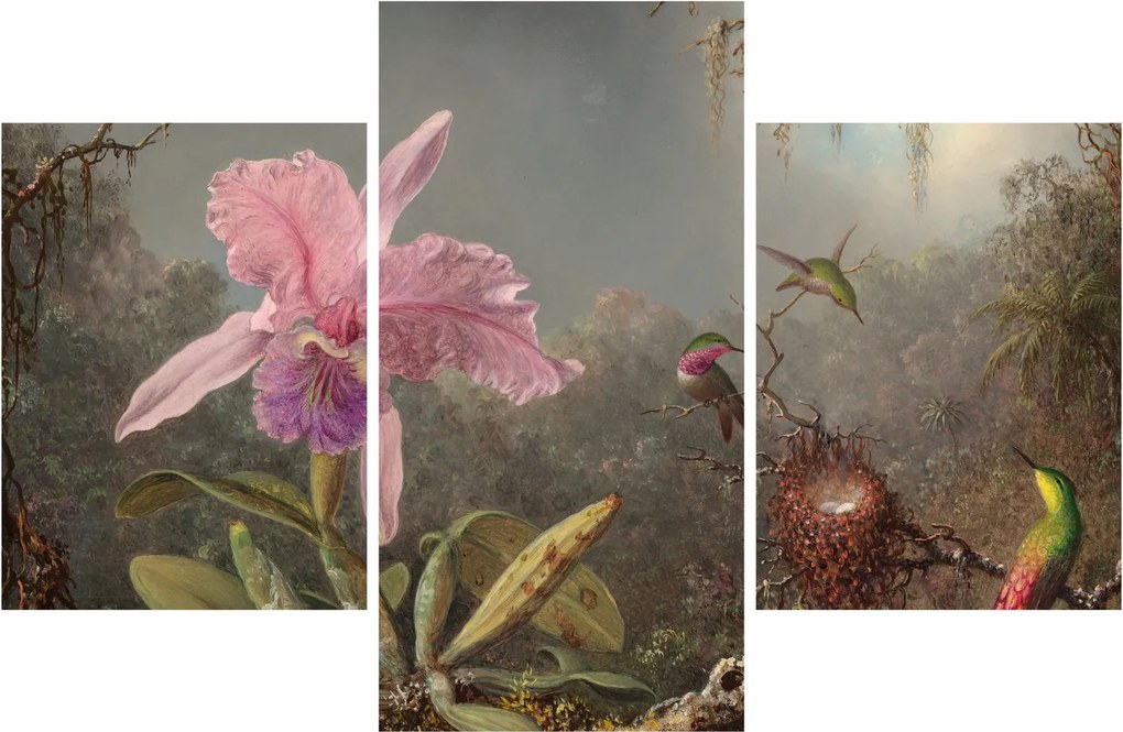 Obraz - Martin Johnson Heade, Cattleya Orchid and Three Hummingbirds, reprodukcia (90x60 cm)