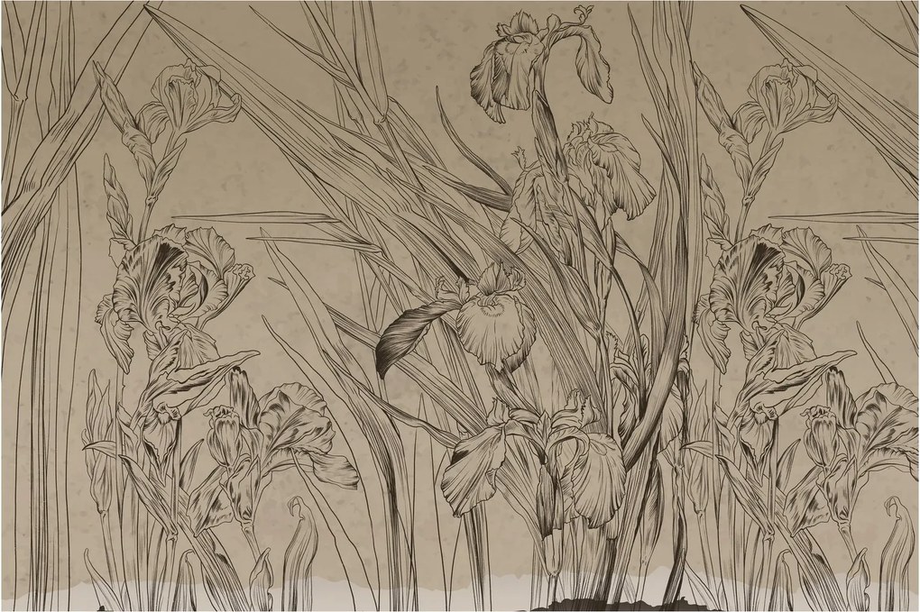 Obraz - Obrysy rastlín (90x60 cm)
