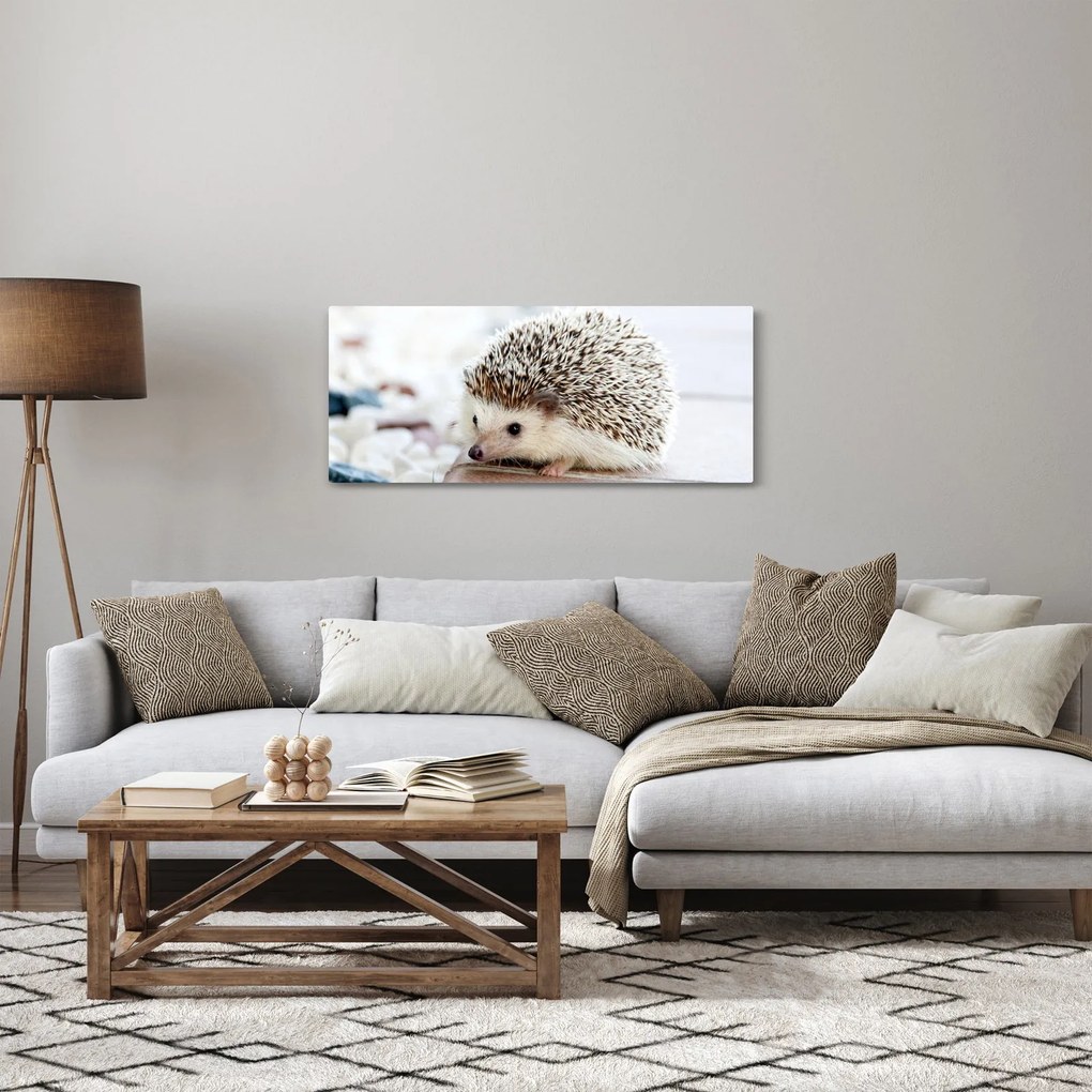 Obraz ježka (120x50 cm)