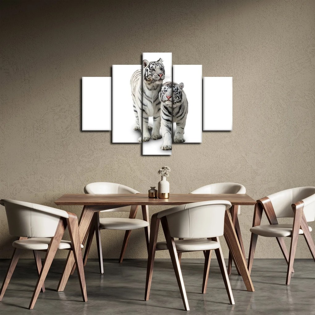 Obraz - Biely tiger (150x105 cm)