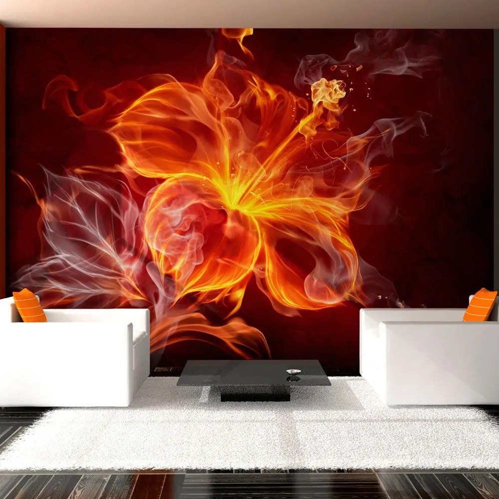 Fototapeta - Fiery flower 200x140