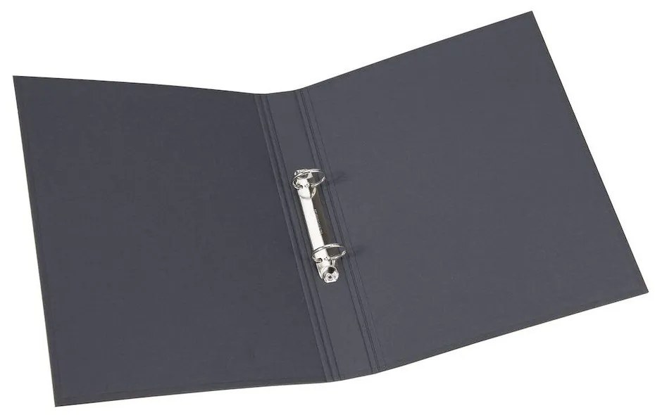 Kartónový organizér na dokumenty Ringo – Bigso Box of Sweden