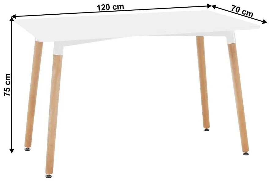 Tempo Kondela Jedálenský stôl, biela/buk, 120x80 cm, DIDIER 4 NEW