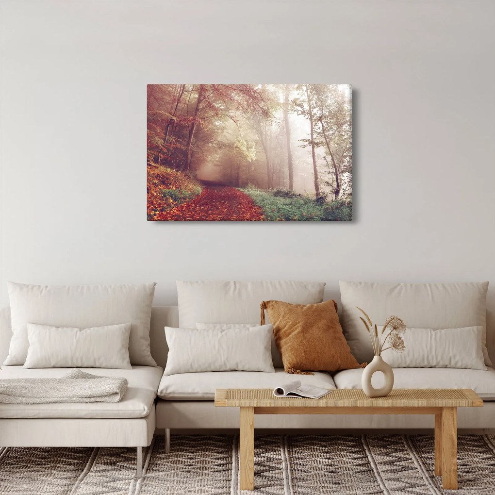 Obraz - Jesenná prechádzka lesom (90x60 cm)