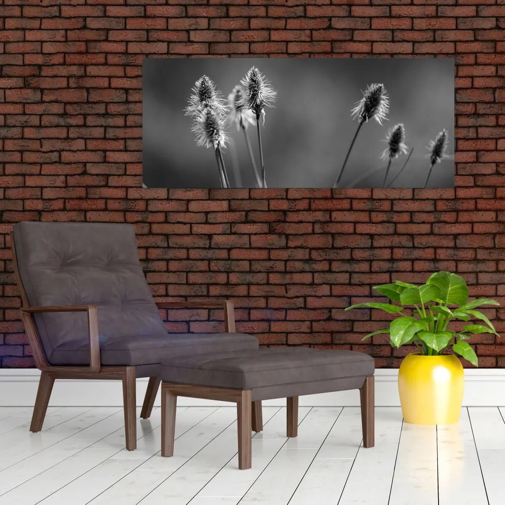 Obraz - Béžová soft grass N⁰2 (120x50 cm)