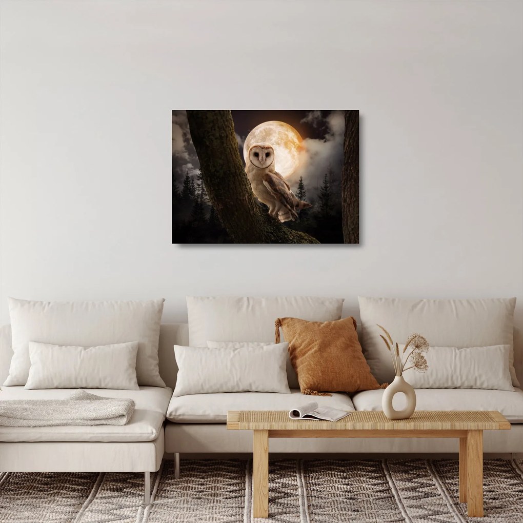 Sklenený obraz sovy (70x50 cm)