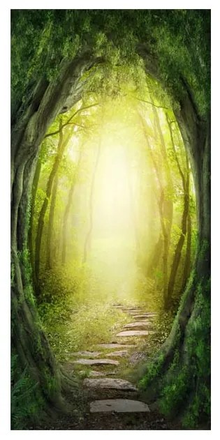 Fototapeta na dvere The Forest of Fantasy