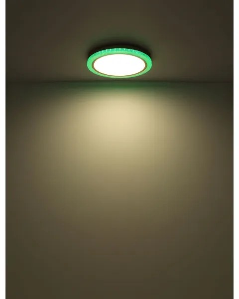 Globo 41372-24 - LED RGBW Stmievateľné stropné svietidlo BOLLY LED/20W/230V + DO