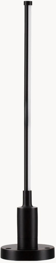 Zapichovacie LED svietidlo Dessay, rôzne veľkosti