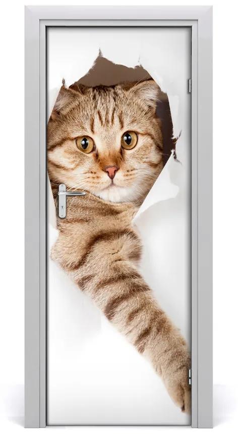 Samolepiace fototapety na dvere Mačka 85x205cm