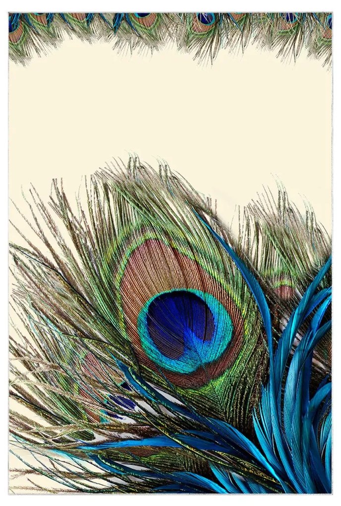 Súprava 2 kusov kúpeľňových predložiek Peacock modrá/béžová