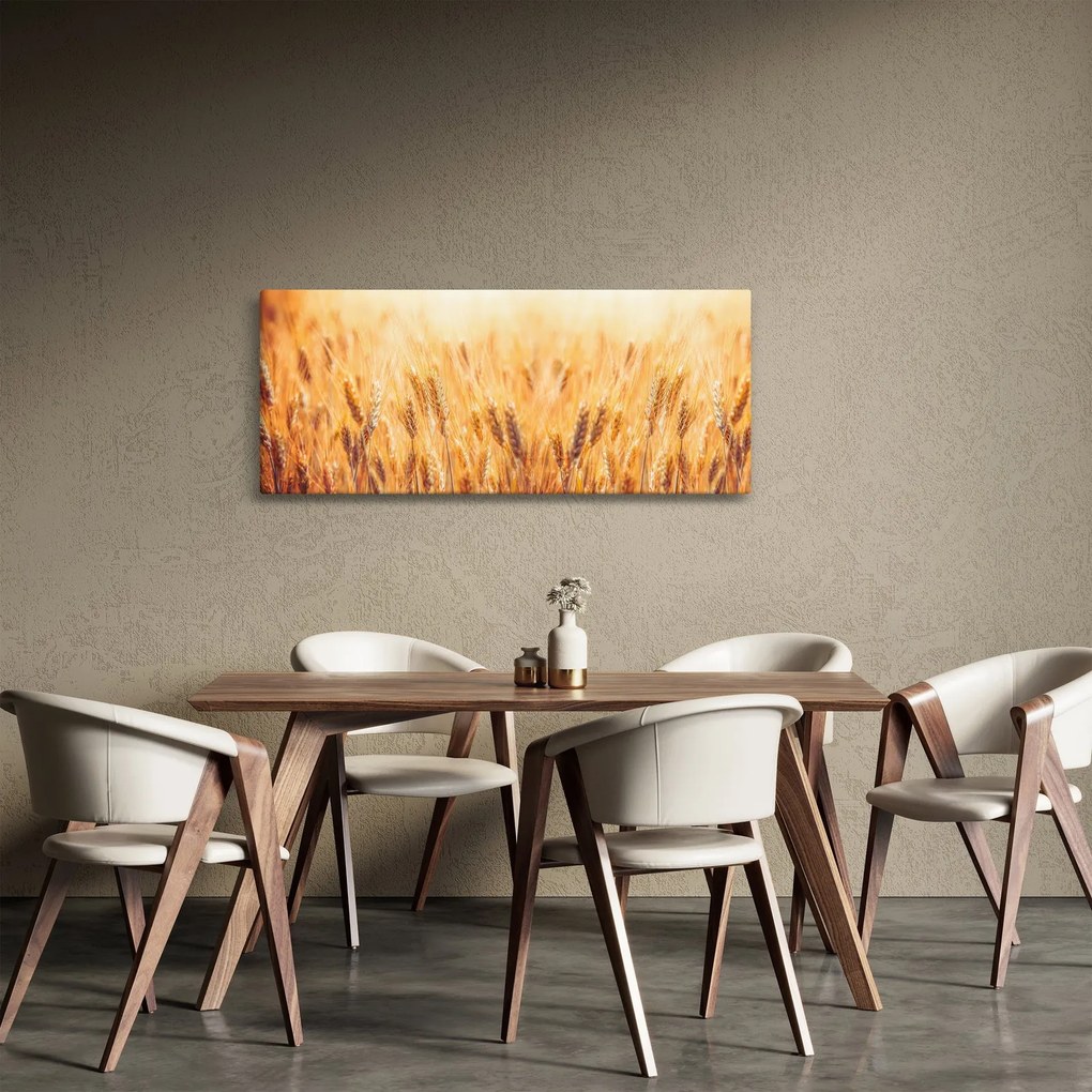Obraz - pole s obilím (120x50 cm)