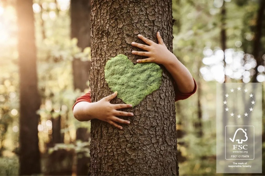 Predsieňová zostava Cano (6-dielna), šedá/dub artisan