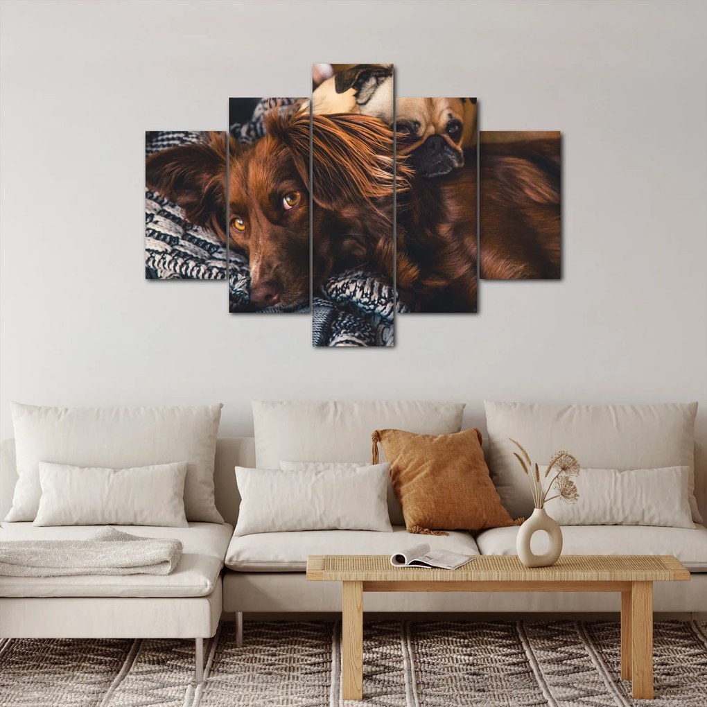 Obraz ležiacich psov (150x105 cm)