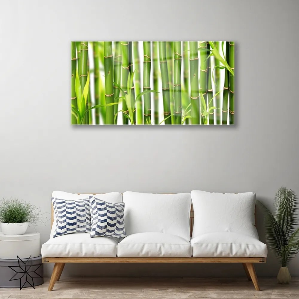 Obraz plexi Bambusové výhonky listy bambus 100x50 cm
