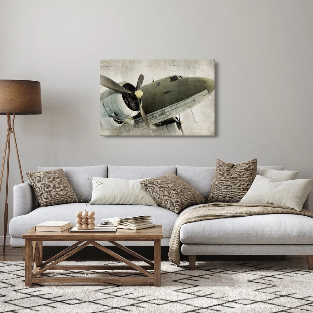 Obraz - Staré vrtuľové lietadlo (90x60 cm)