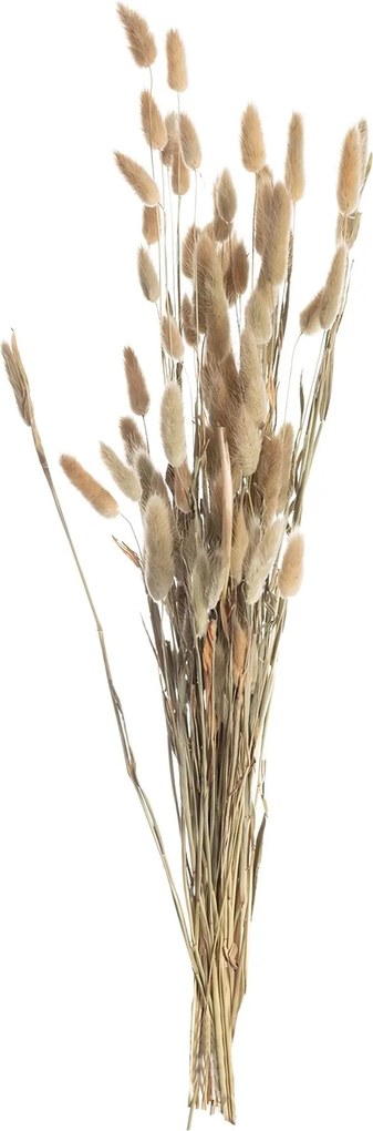 Kytica fúkačiek 60cm beige