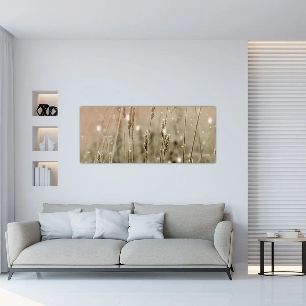 Obraz - Harmonická lúka (120x50 cm)