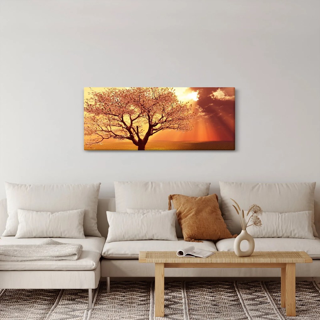 Obraz lúčov Boha (120x50 cm)
