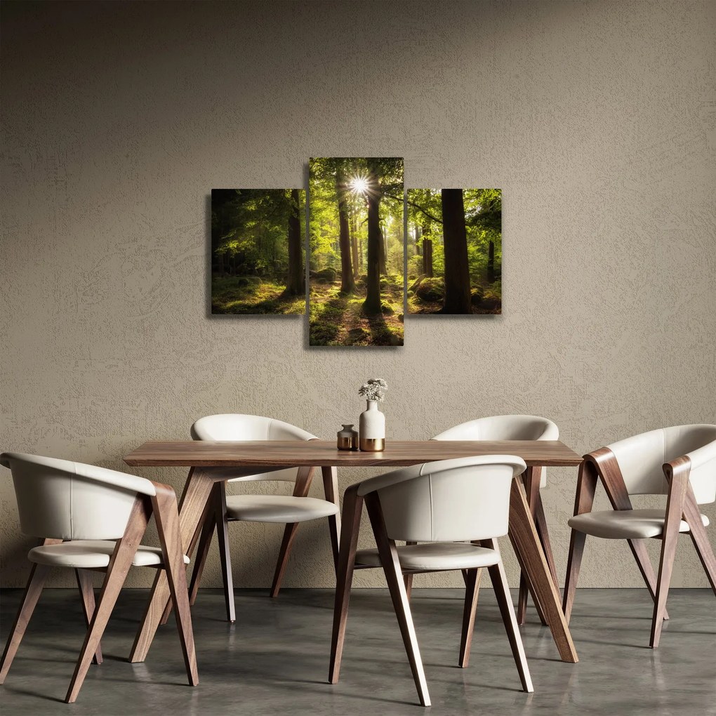 Obraz snového lesa (90x60 cm)