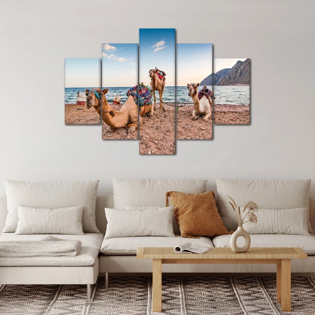 Obraz tiav (150x105 cm)
