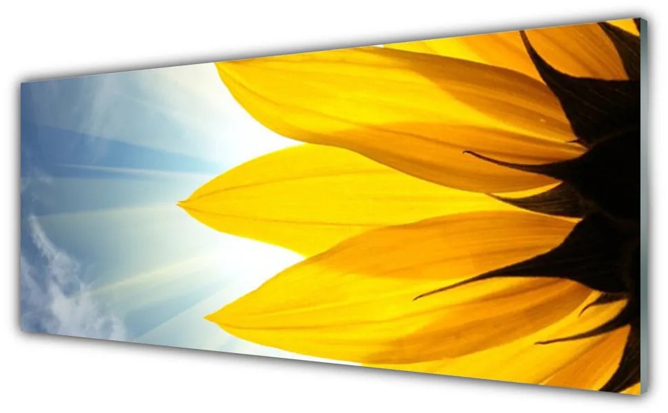 Obraz na akrylátovom skle Plátky rastlina 125x50 cm