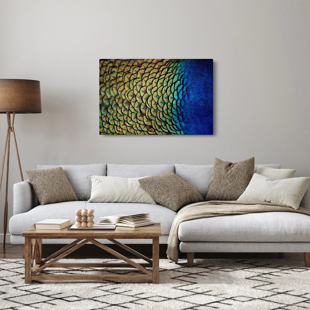 Obraz - Pávie perie (90x60 cm)