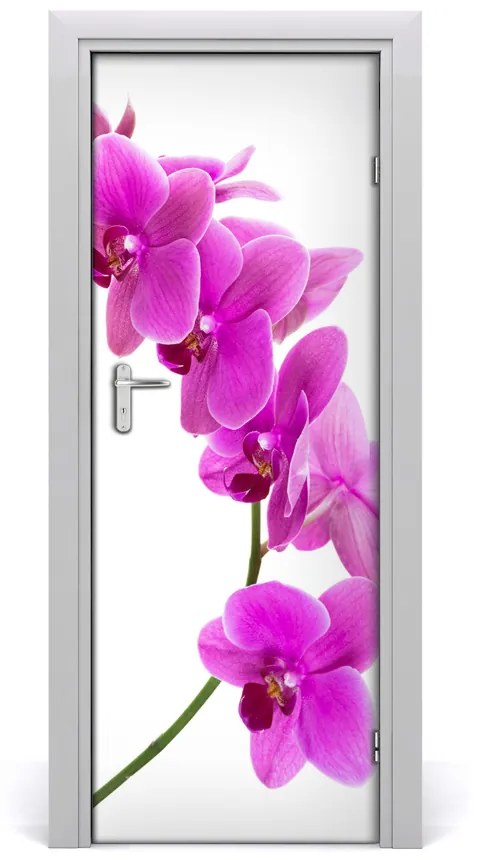 Fototapeta samolepiace ružová orchidea 85x205 cm