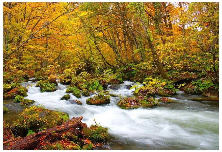 Fototapeta Vliesová Rieka v japonsku 312x219 cm