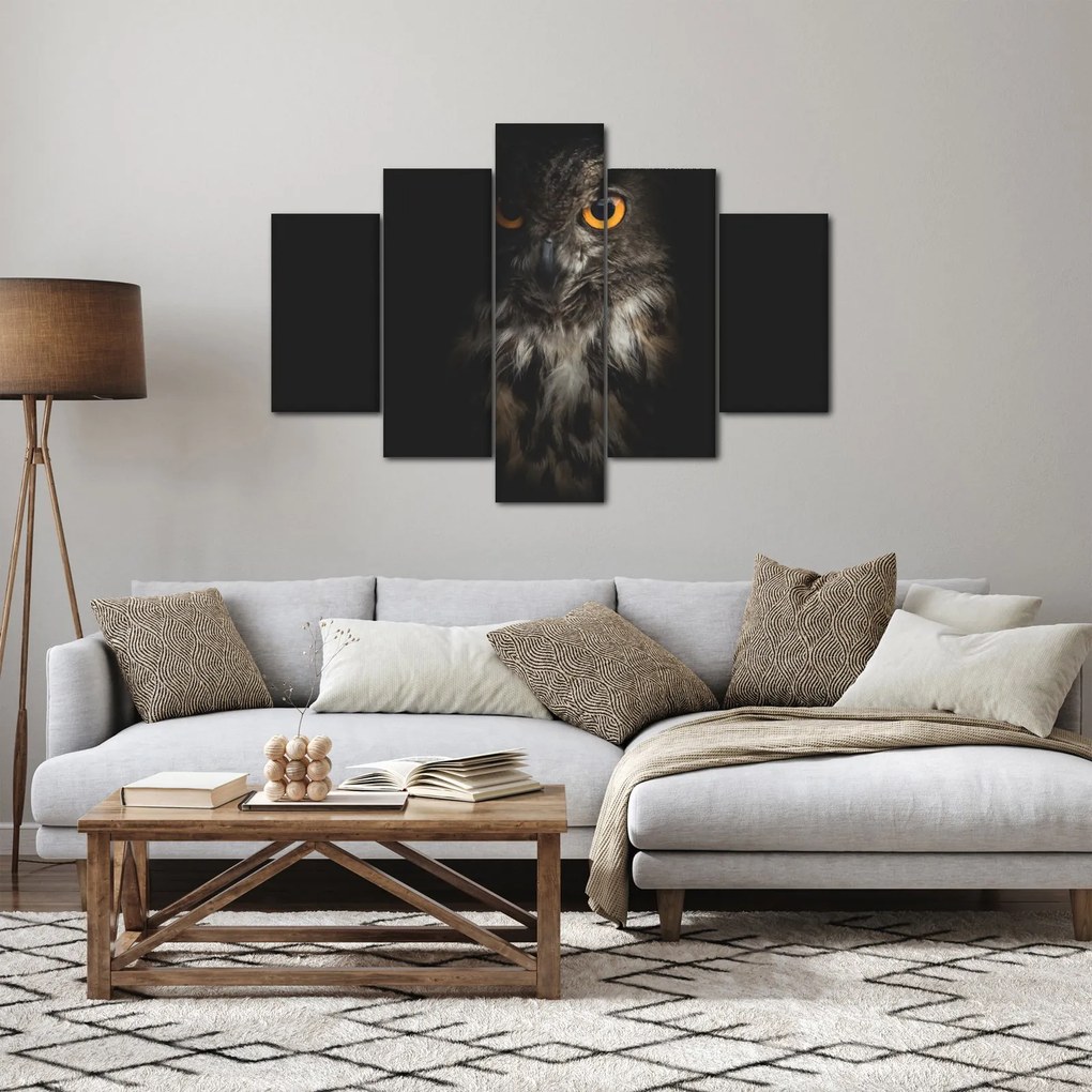 Obraz sovy (150x105 cm)