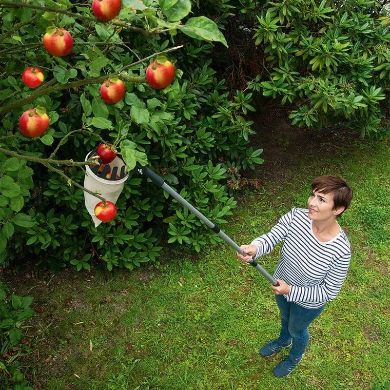 Česáčik na ovocie s teleskopickou rukoväťou