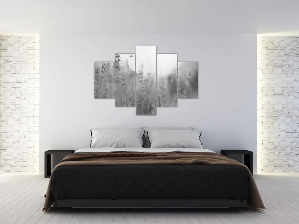 Obraz - Levanduľa (150x105 cm)