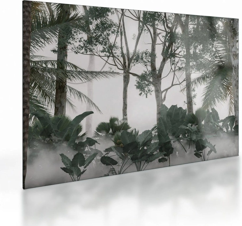 Sklenený obraz - Jungle v rannej hmle (70x50 cm)