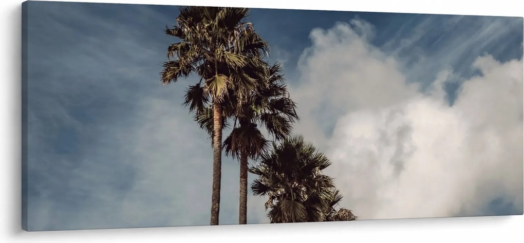 Obraz - Palmová dráma (120x50 cm)