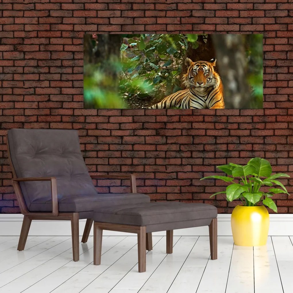 Obraz odpočívajúceho tigra (120x50 cm)