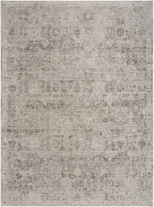 Koberec DKNY PURE SHADES SAD01 sivý