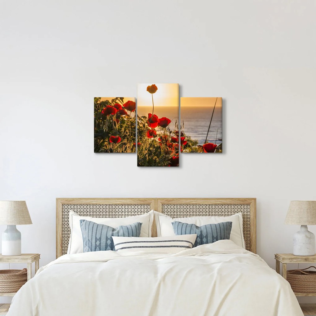 Obraz západu slnka s vlčími makmi (90x60 cm)