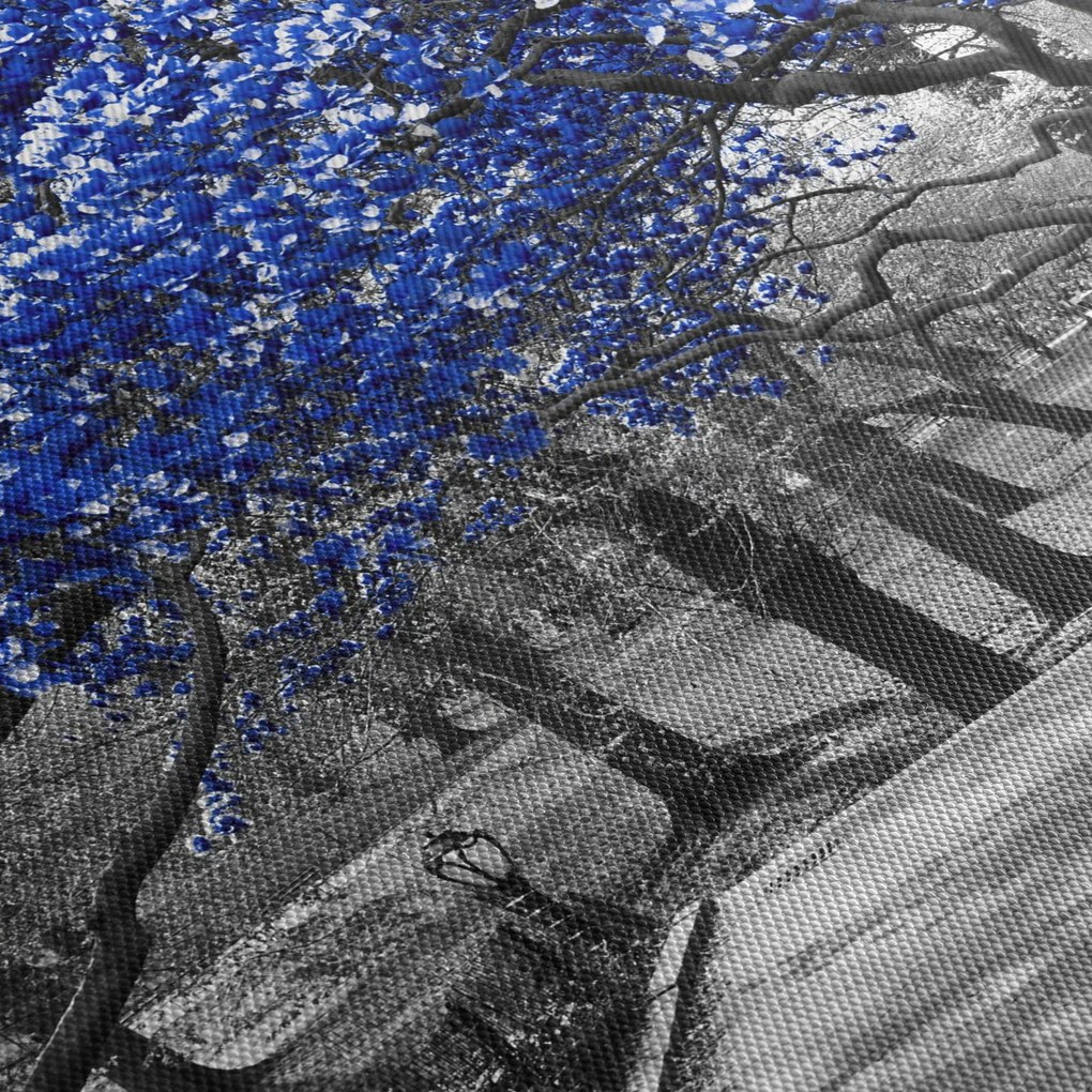 Obrázok - Modré stromy, Central Park, New York (90x60 cm)