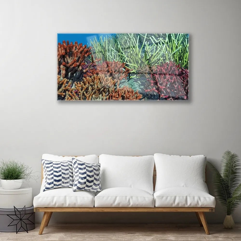 Skleneny obraz Koralový útes príroda 140x70 cm
