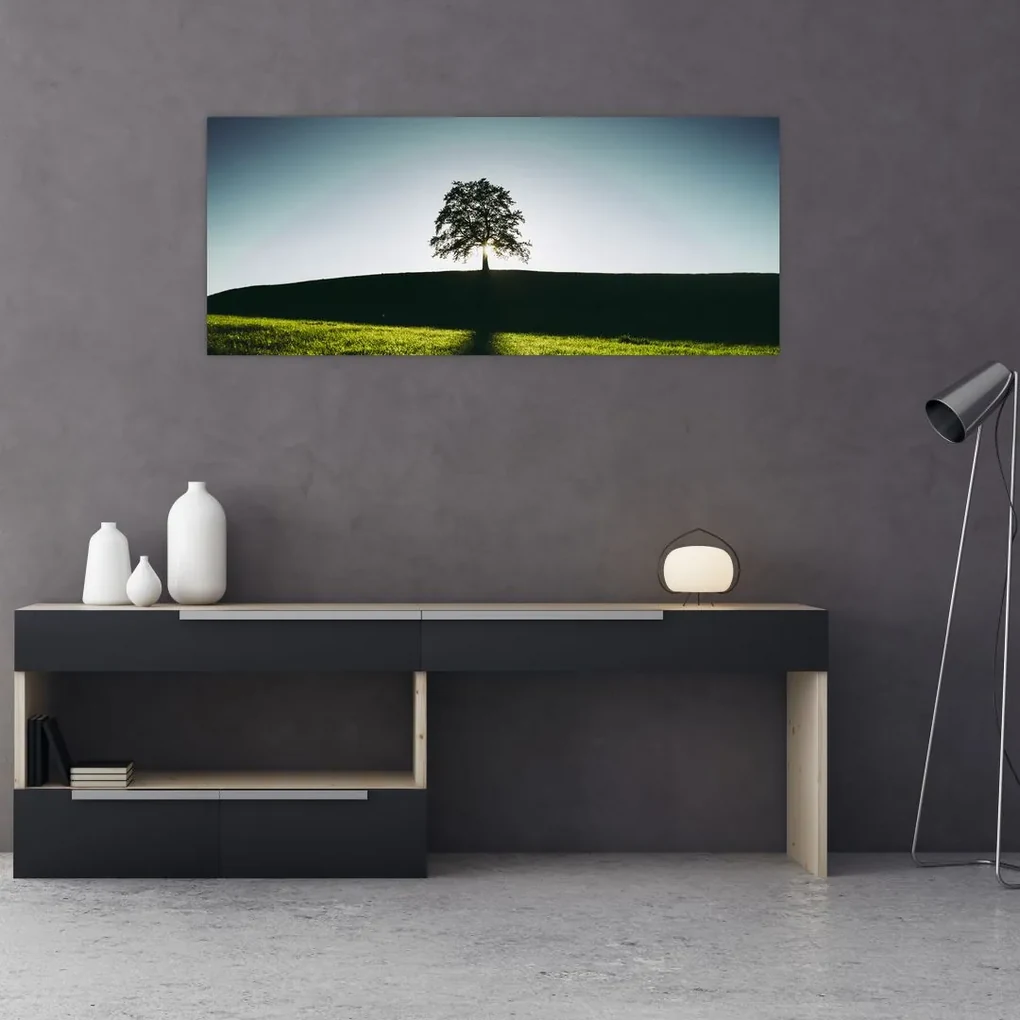 Obraz prírody - strom (120x50 cm)