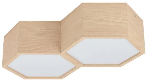 Eglo 98861 - Stropné svietidlo MIRLAS 2xE27/9W/230V