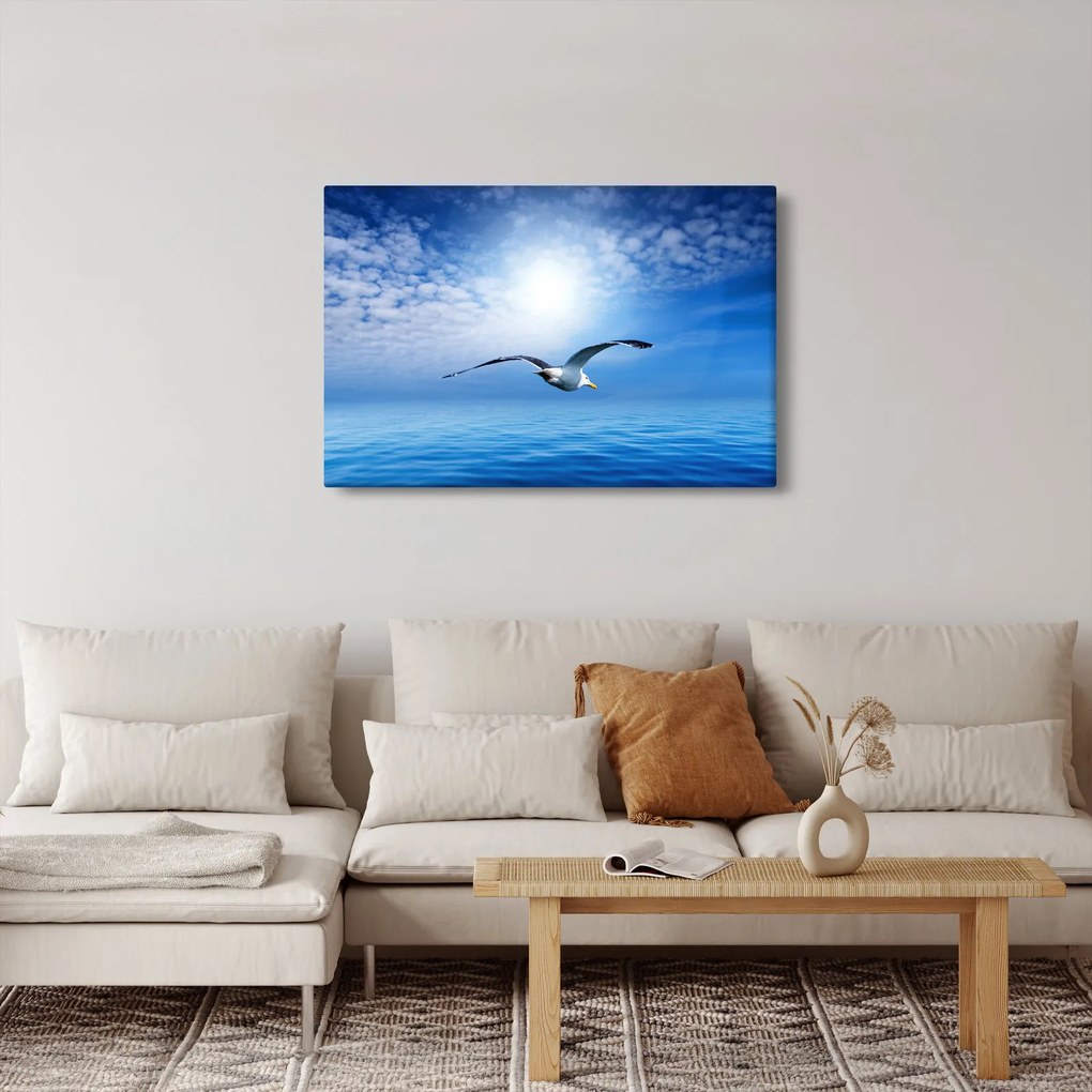 Obraz - Čajka nad morom (90x60 cm)