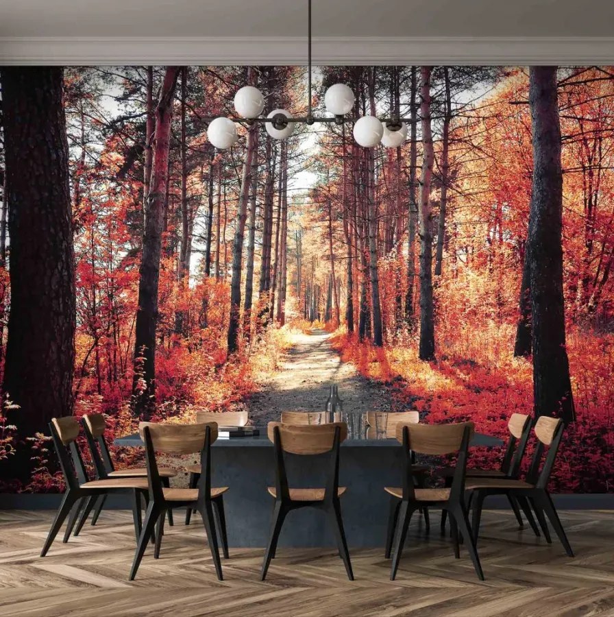 Manufakturer -  Tapeta red autumn in the forest