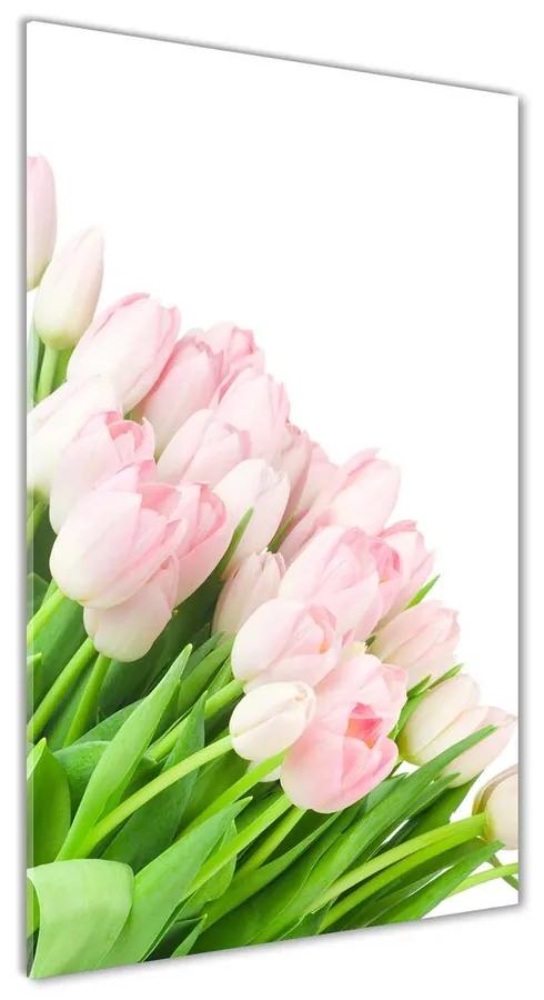 Foto obraz akrylové sklo Ružové tulipány pl-oa-70x140-f-22467427