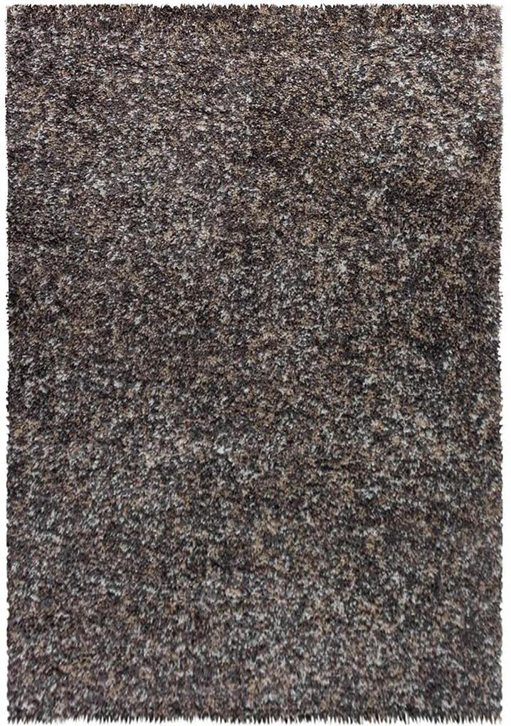 Koberce Breno Kusový koberec ENJOY SHAGGY 4500 Taupe, hnedá, viacfarebná,160 x 230 cm